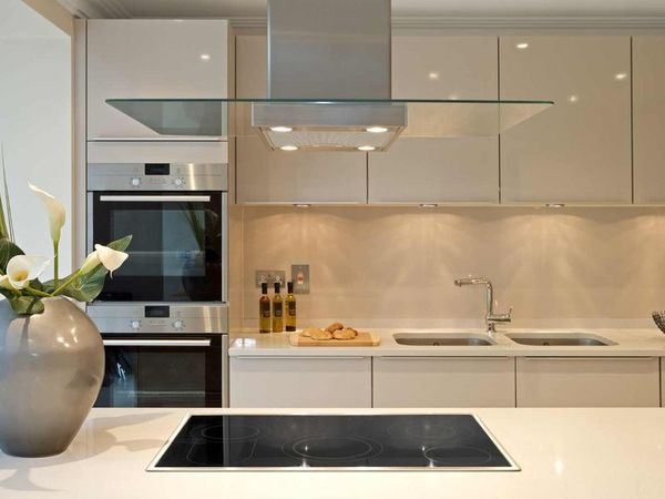Chicago Kitchen Remodeling — Kitchen Remodeling project in Chicago (3)